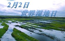 国际湿地日